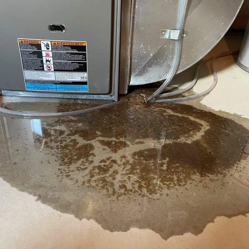 Appliance Leak Cleanup in Arvin, CA